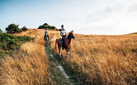 天氣很好英文怎麼說 形容陽光普照與舒適氣候的道地單字