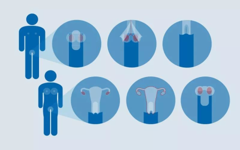 女生雙性戀 bisexual 特質介紹與自我認同探索指南