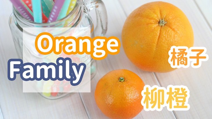 橙子是柳丁嗎 Orange vs Tangerine 柑橘類水果區別