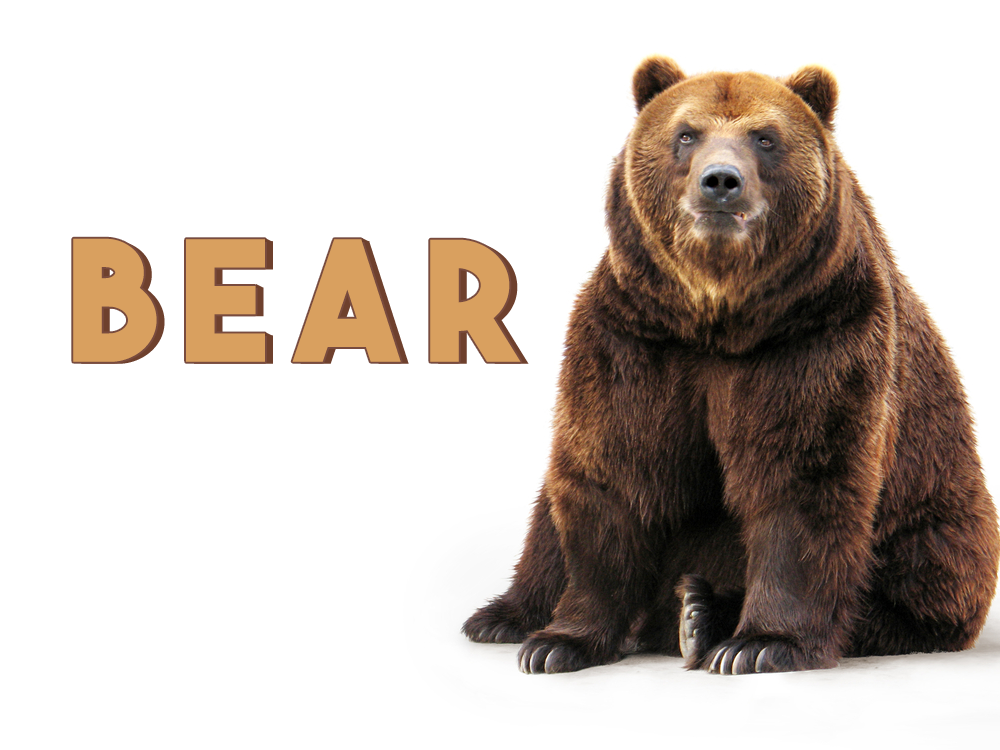 Bear動詞三態變化 Bear Bore Borne 忍受與出生的用法解析