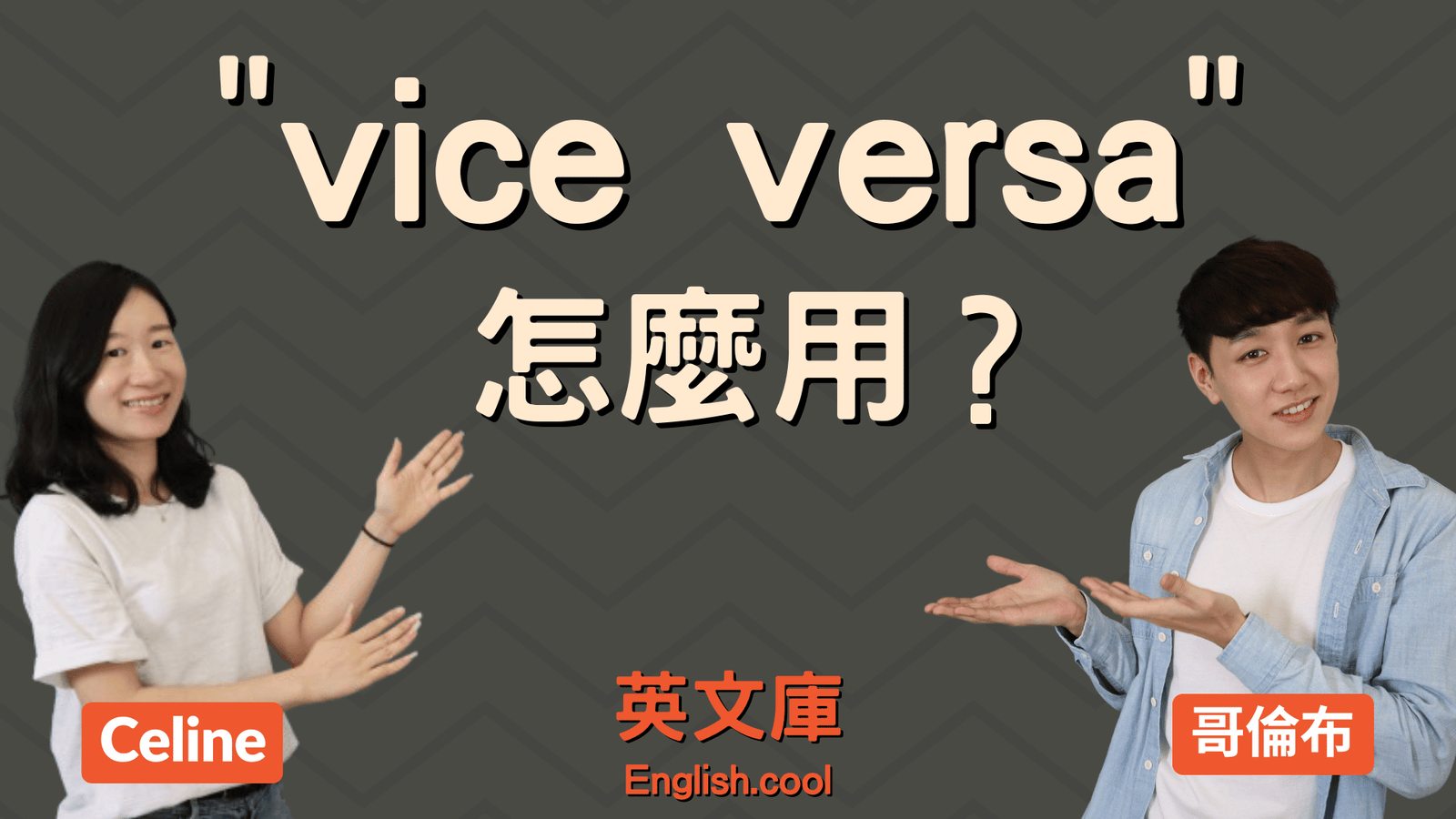 反之亦然英文 Vice versa 拉丁文片語用法與例句解析
