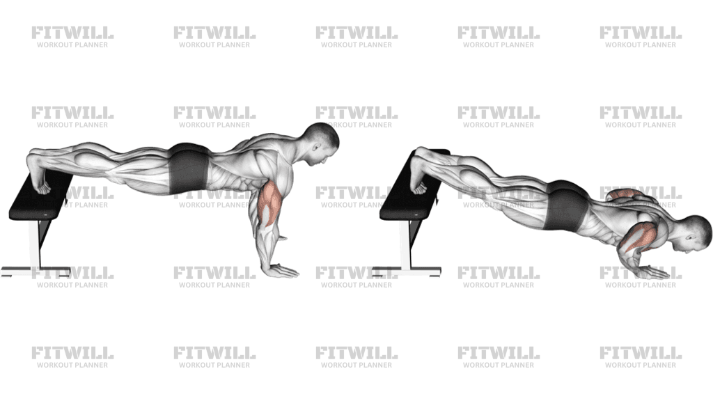 下斜伏地挺身英文Decline Push-up 訓練胸肌下緣動作教學