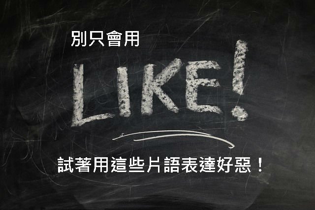 Be fond of 中文意思 喜愛 喜歡 片語用法與 Like 比較