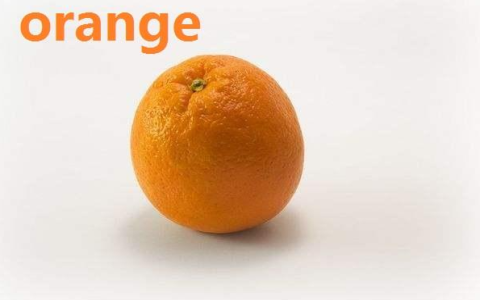 橘色的英文 orange 顏色單字與相關水果物品介紹