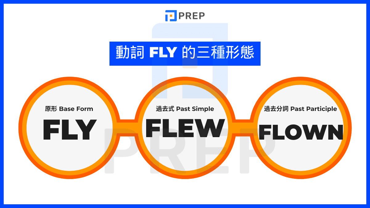 Fly 的三態 Fly Flew Flown 動詞變化規則與例句教學