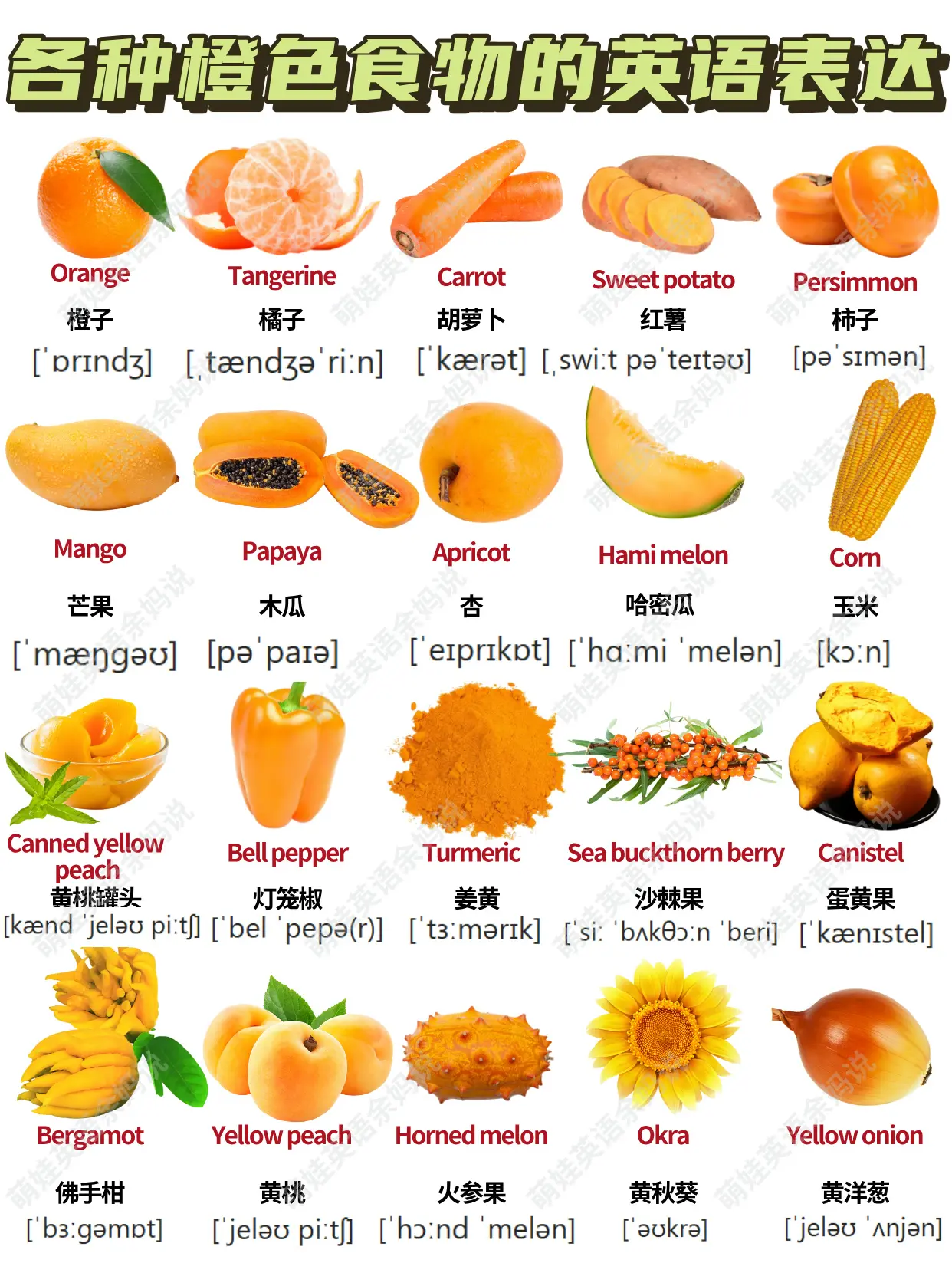 橘色的英文 Orange 顏色單字與相關水果物品介紹