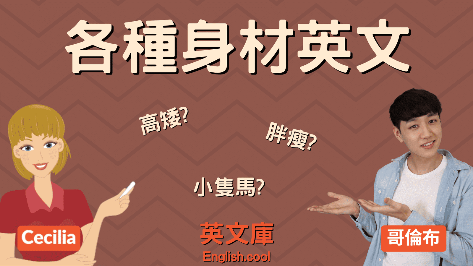 小隻馬意思與英文Petite girl 形容嬌小女生身材的流行語