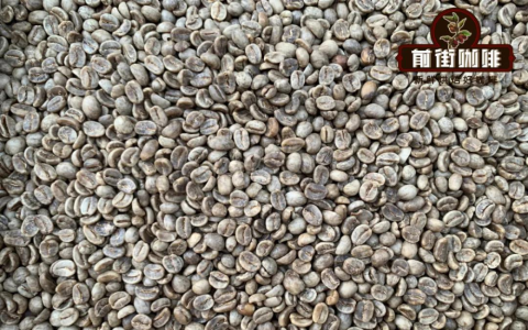 低咖啡因星巴克點餐教學 decaf英文怎麼說與咖啡因含量查詢