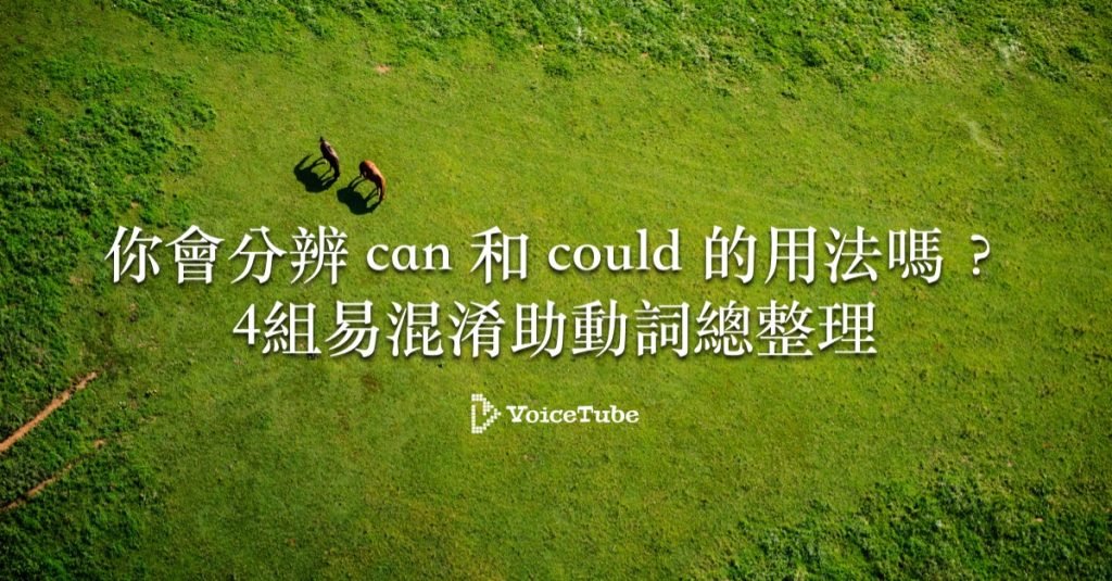 Do you Should we Could 助動詞疑問句用法區別