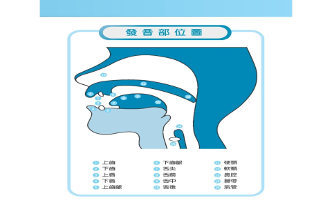 KK音標字母對照表與發音教學 下載練習單快速學會看字讀音