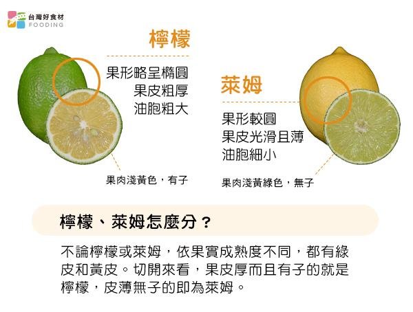 檸檬是柑橘類嗎 Citrus Fruits 檸檬萊姆與常見柑橘水果分類
