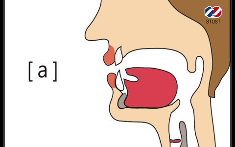 a和an的用法區別教學：母音發音判斷規則與特殊例外
