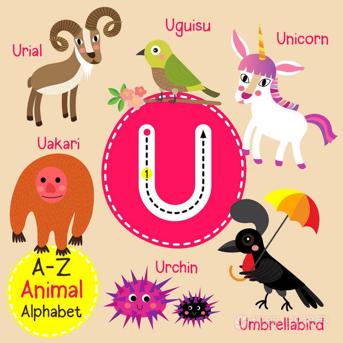 U開頭的動物英文單字 Unicorn獨角獸與Urchin海膽介紹