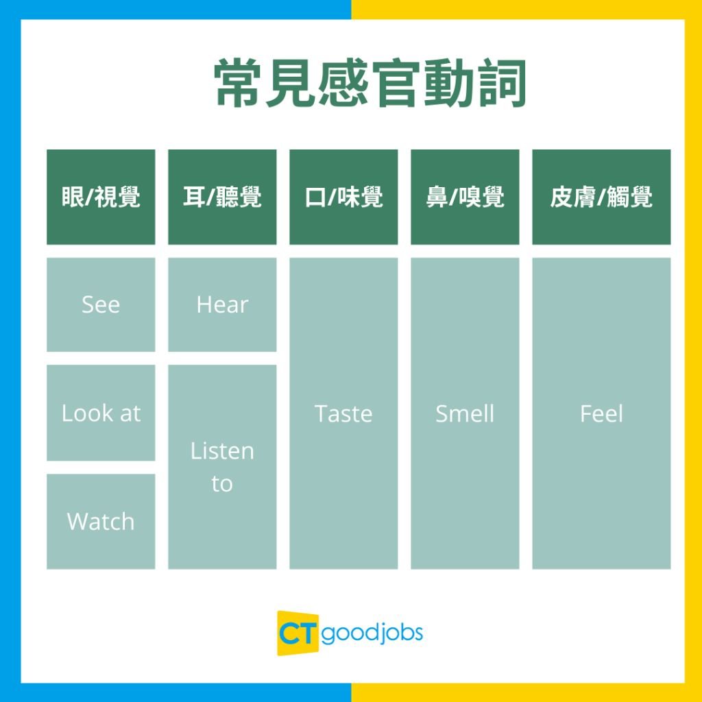 感官動詞有哪些 See Hear Watch Feel 用法與受詞補語詳解