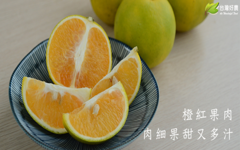 橙子是柳丁嗎 orange vs tangerine 柑橘類水果區別