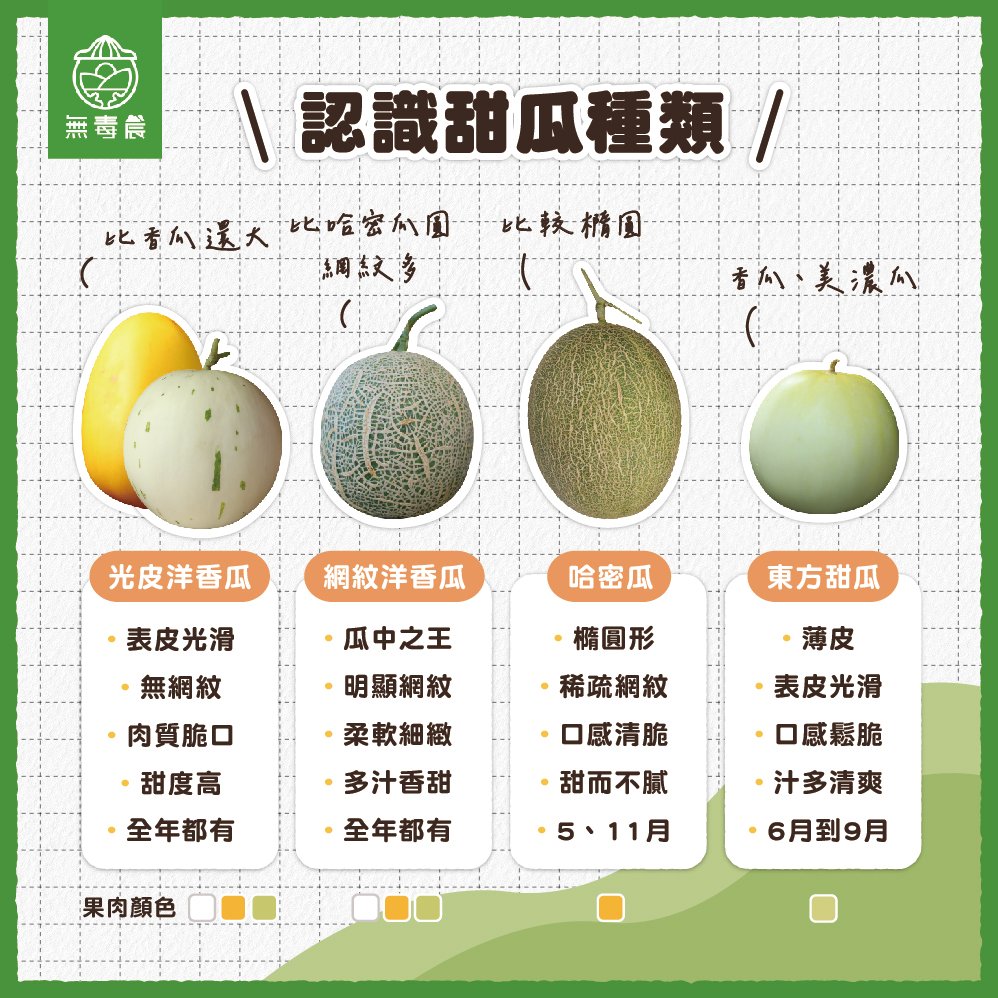 哈蜜瓜英文Hami Melon與Cantaloupe差別 甜瓜種類介紹