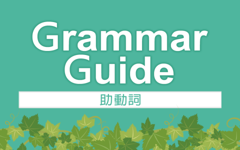 do did does用法全攻略：助動詞時態變化與疑問句型