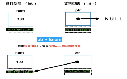 np是什麼意思網路上常見用語 no problem還是number portability