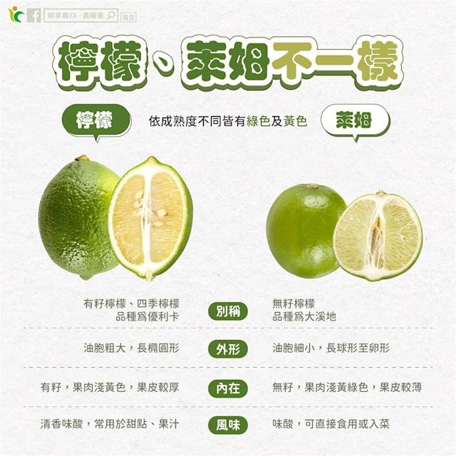 檸檬是柑橘類嗎 Citrus Fruits 檸檬萊姆與常見柑橘水果分類