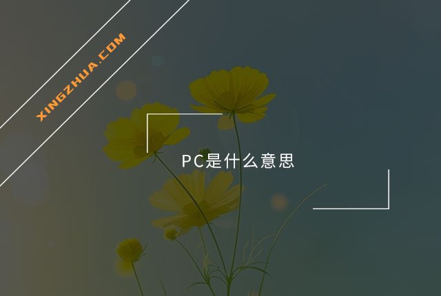 PC 網路用語 Personal Computer 或是 Politically Correct