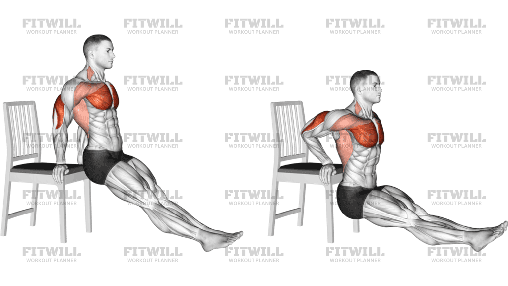 下斜伏地挺身英文Decline Push-up 訓練胸肌下緣動作教學