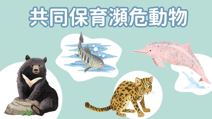 保育類動物英文 Protected Species 瀕危物種介紹