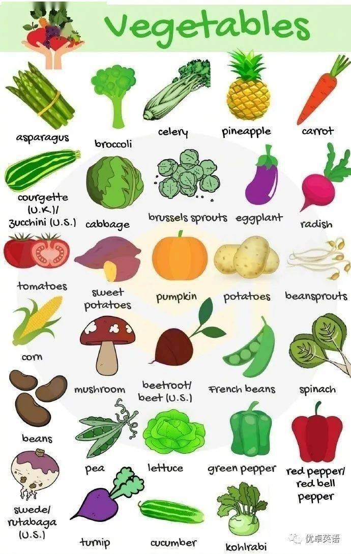 蔬菜類有哪些英文單字 Vegetables Leafy Greens 常見蔬菜列表