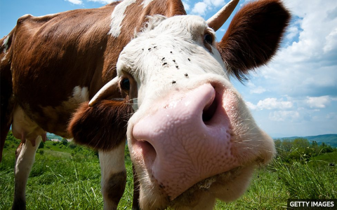 to me for me 差別 對我來說 介系詞用法與觀點表達比較