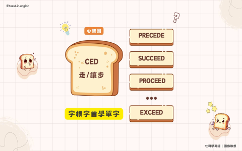 及物動詞英文transitive verb是什麼？用法與分辨技巧