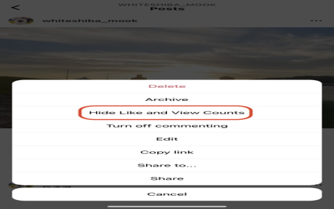 IG 按讚收回 Unlike Instagram 貼文按讚取消教學