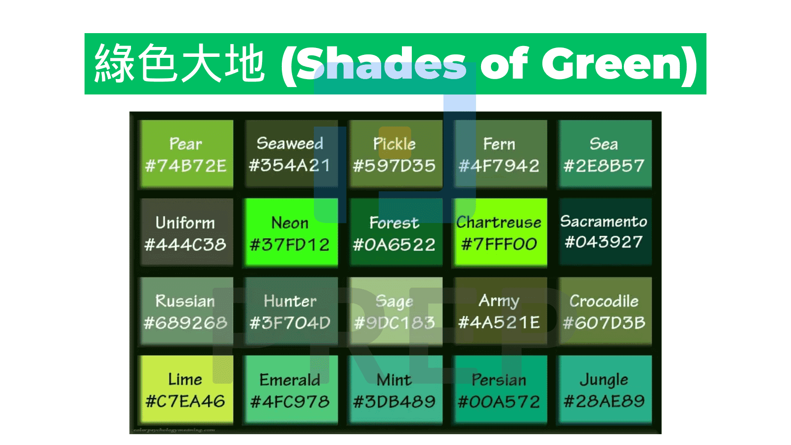 墨色是什麼顏色 Ink Black與Charcoal英文色彩單字介紹