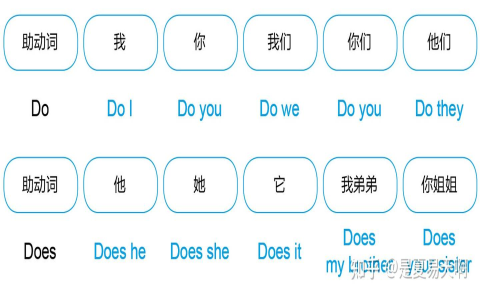 Can後面加什麼 原形動詞用法與助動詞文法規則基礎教學