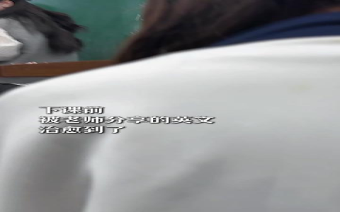 謝謝你的包容英文Thank you for your patience 理解與體諒