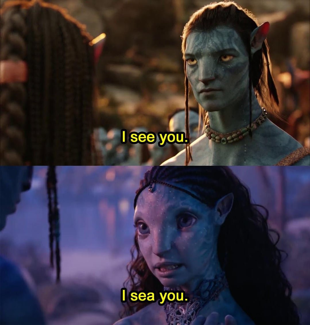 iseeyou意思解析 我懂你與我看見你 阿凡達電影經典台詞