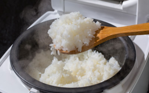 大同電鍋英文介紹 Rice Cooker使用教學與留學生必備食譜