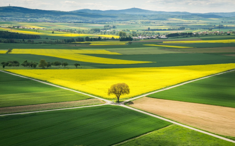 網路酸民英文Hater與Troll意思 應對網路霸凌的心理建設