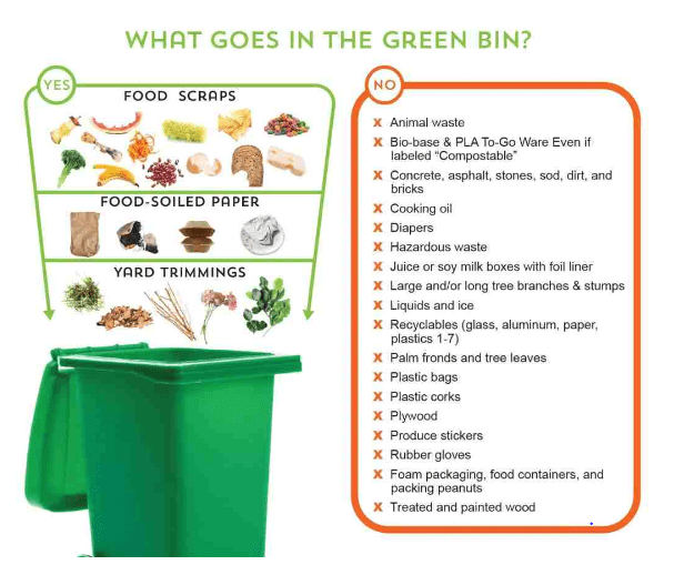廚餘桶英文Food Waste Bin 廚房垃圾分類與回收單字教學
