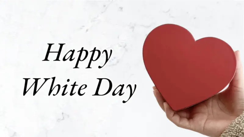 白色情人節英文 White Day 回禮習俗與禮物含義介紹