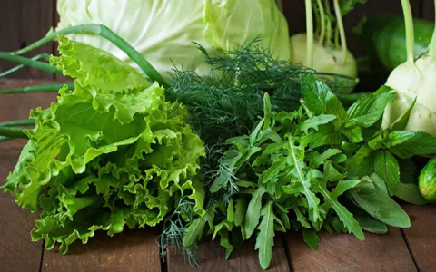 瓜果類蔬菜英文 Melon and Gourd vegetables 單字介紹