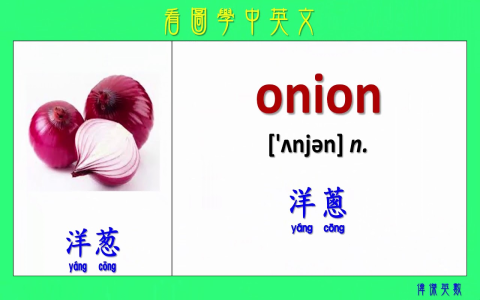 高麗菜的英文Cabbage挑選與保存方法 常見蔬菜英文單字圖鑑