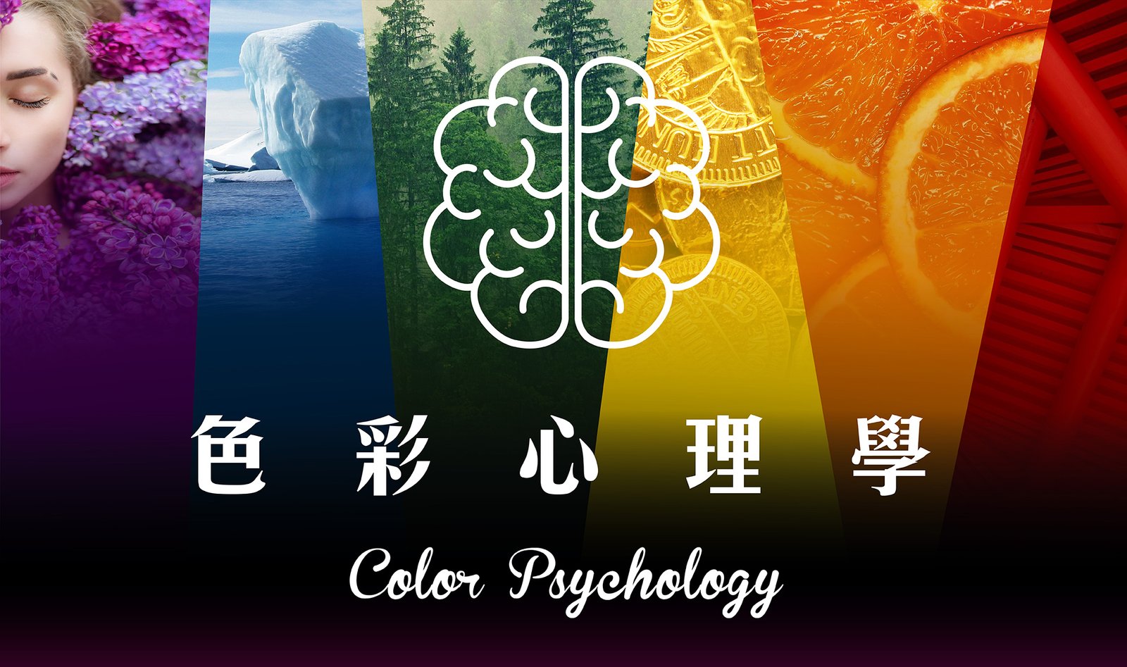 各種顏色代表的意義 Color Psychology 色彩心理學與象徵