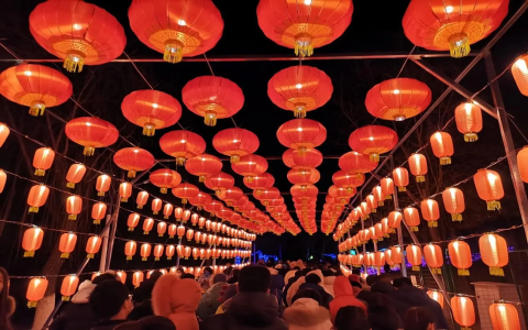 元宵節提燈籠習俗由來：燈籠英文Lantern製作與活動