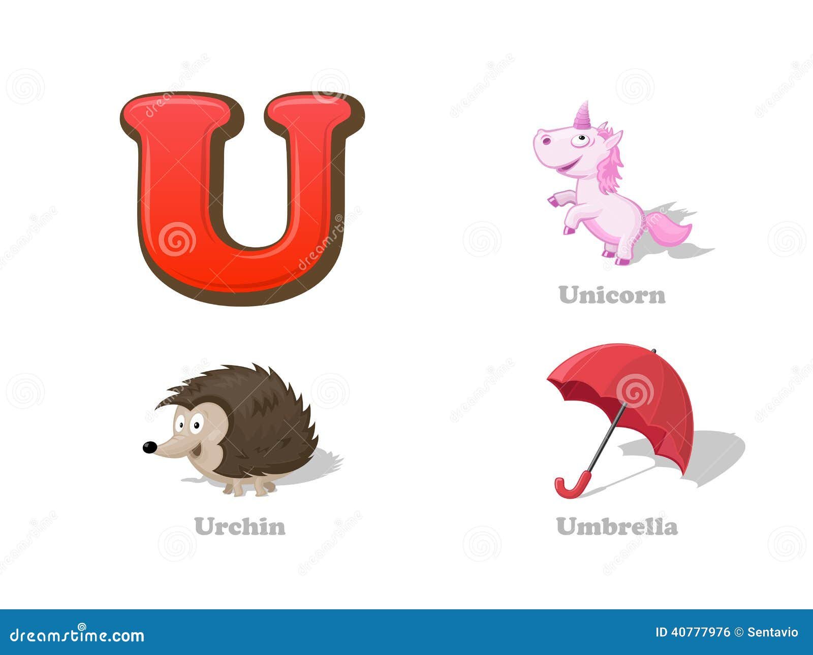 U 開頭的動物英文 Unicorn, Urchin 動物單字圖鑑