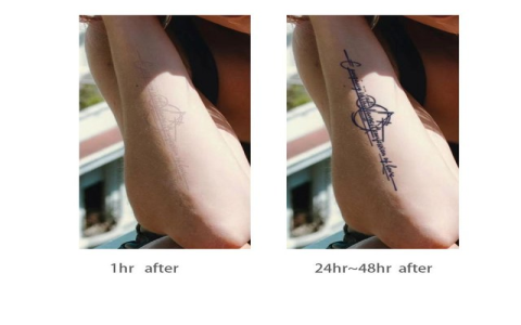 英文短句刺青 Tattoo Quotes 簡短有力的座右銘推薦