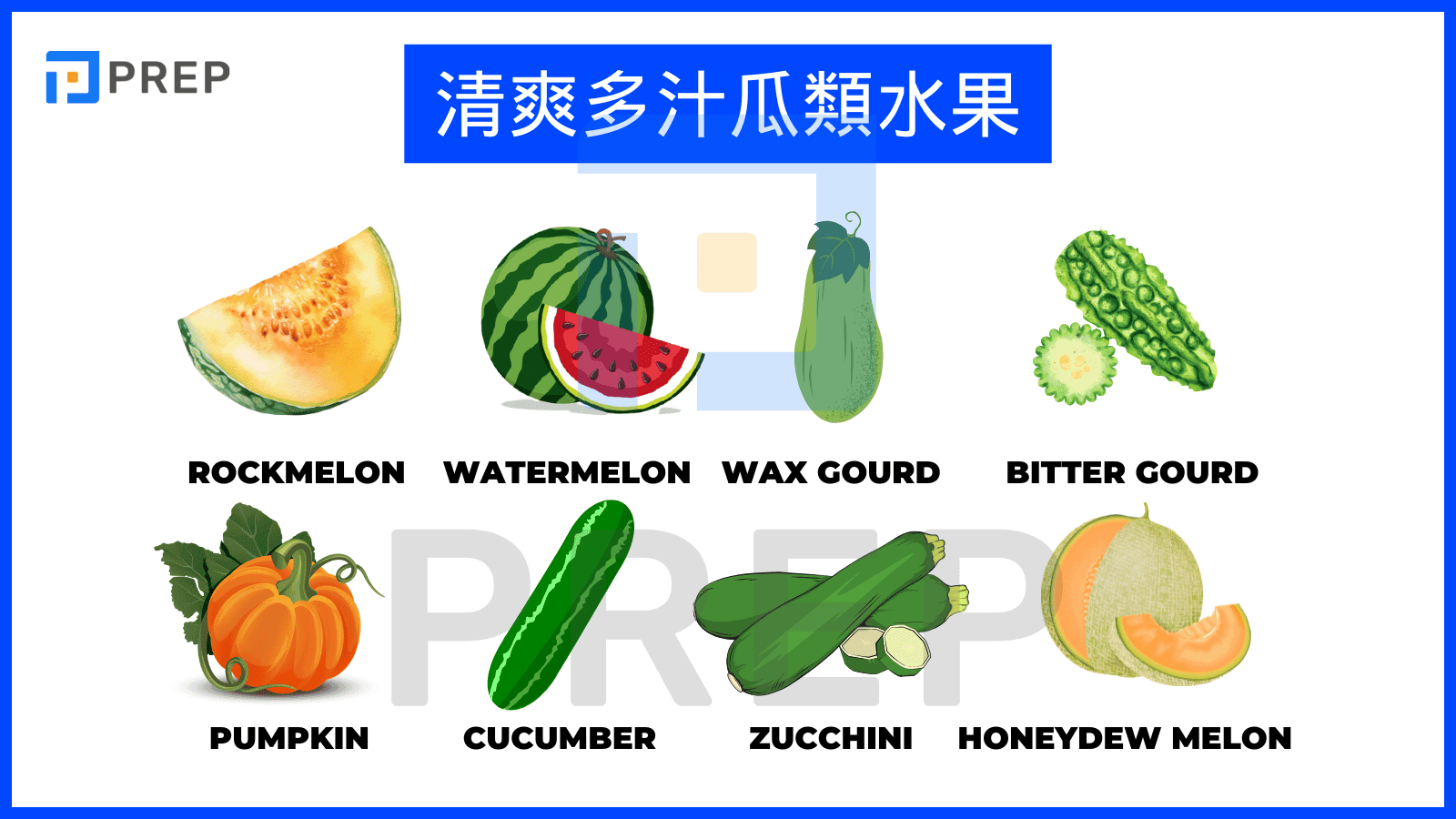 瓜果類蔬菜英文 Melon and Gourd vegetables 單字介紹